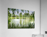 Summer Lake Acrylic Print