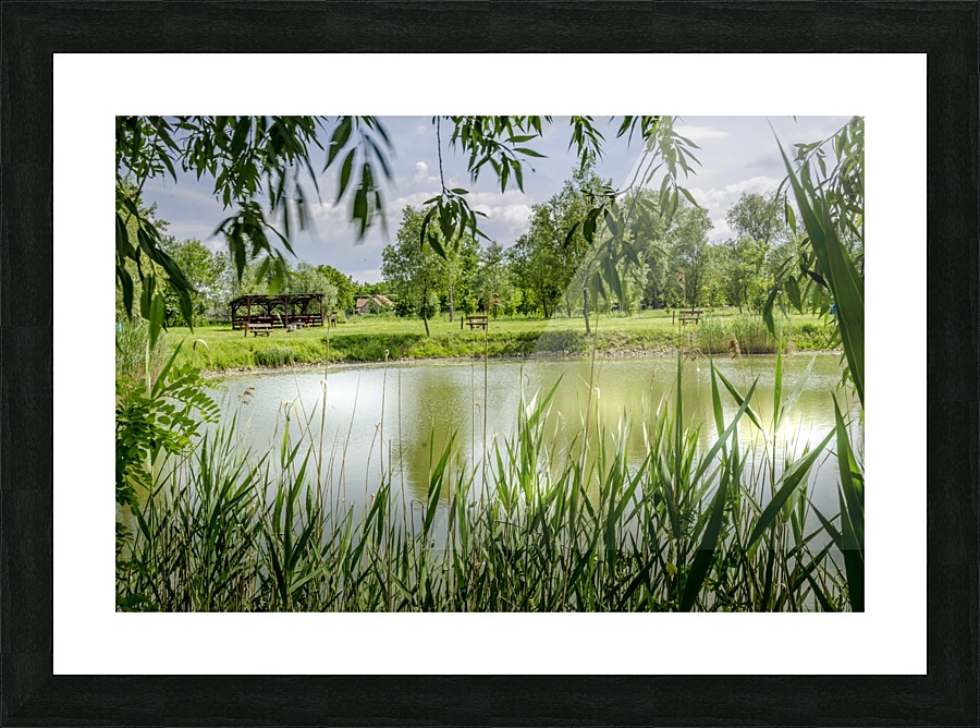Summer Lake Picture Frame print