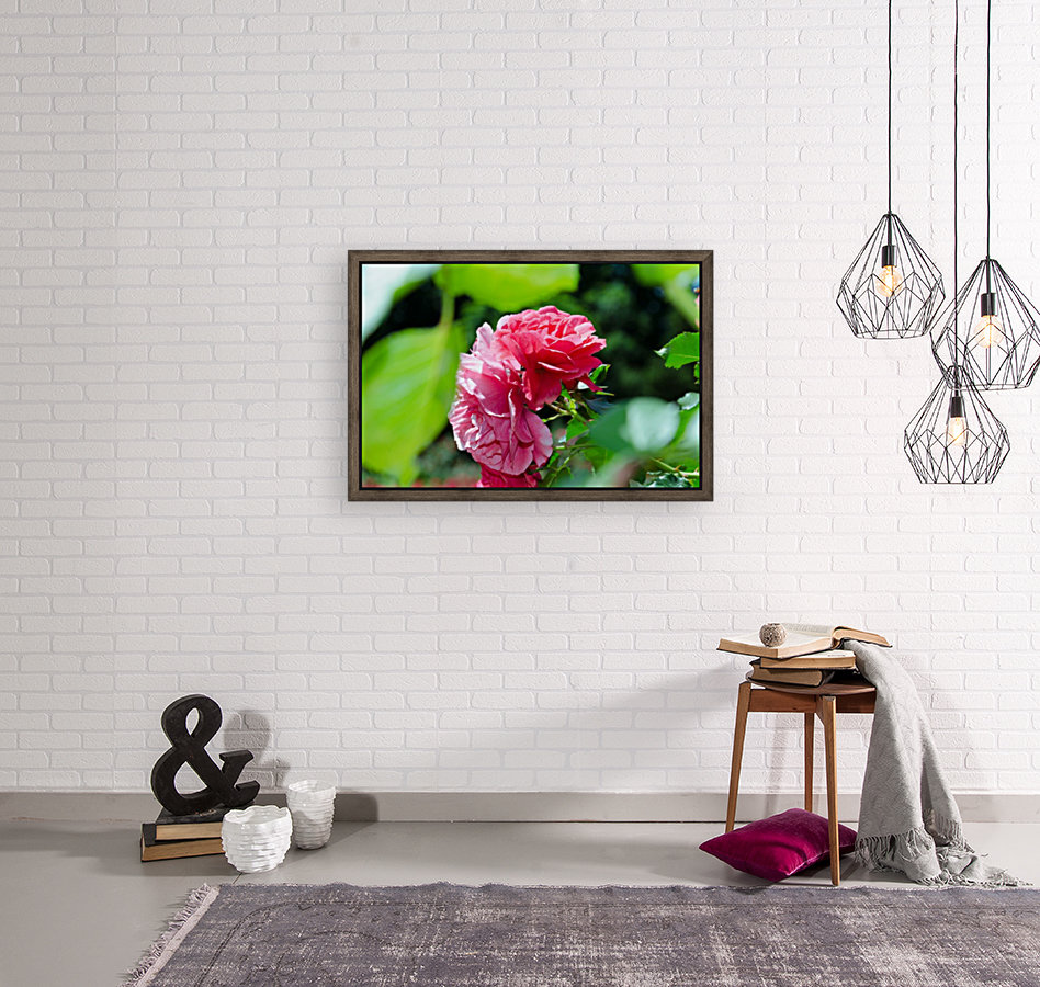 Rose Name Reproduction