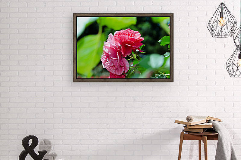 Rose Name Reproduction