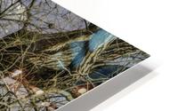 Looking Through HD Metal print
