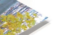 Golden Trees HD Metal print