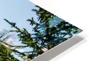 In The Alps HD Metal print