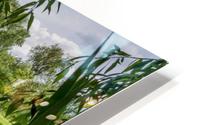 Summer Lake HD Metal print