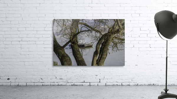 Looking Through Wall Preview