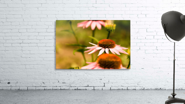 Like Sunflowers Wall Preview