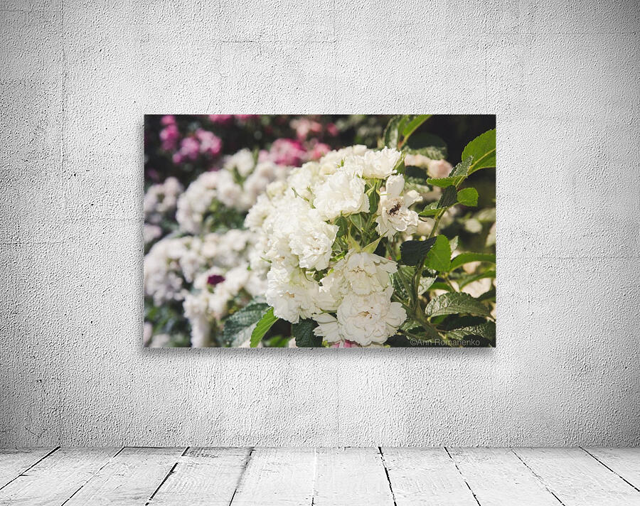 Brides Wall Preview