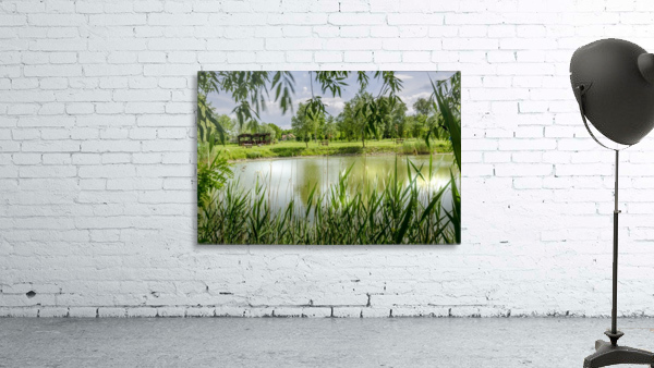 Summer Lake Wall Preview