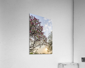 Sunset  Acrylic Print