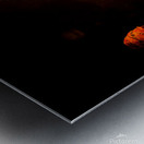 Fireball Metal print