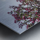 Sunset  Metal print