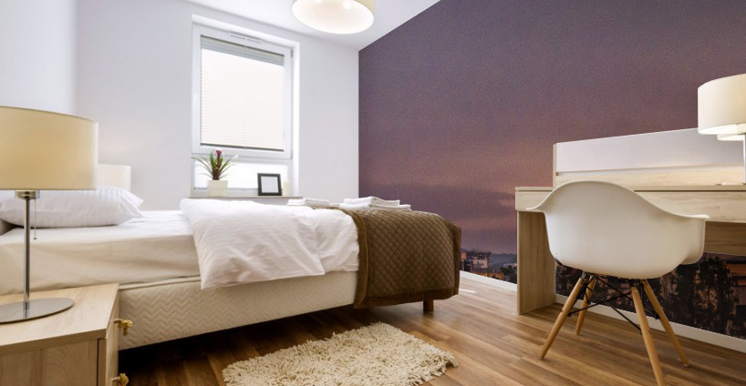 Evening  light  Mural print