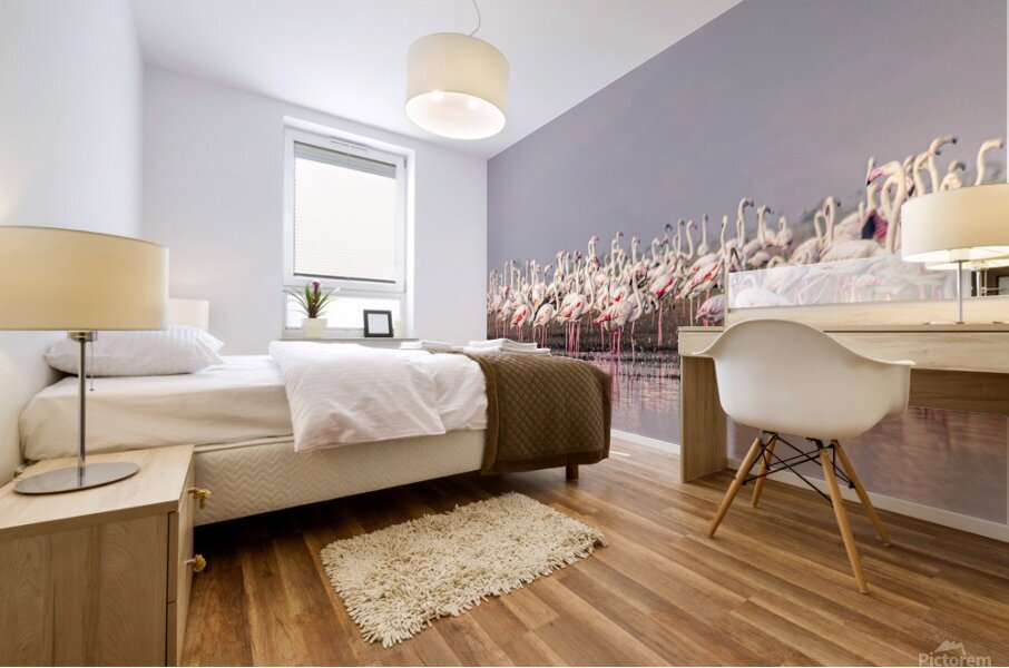 Flamingos Mural print