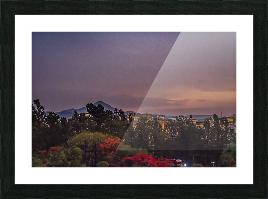 Evening  light  Picture Frame print