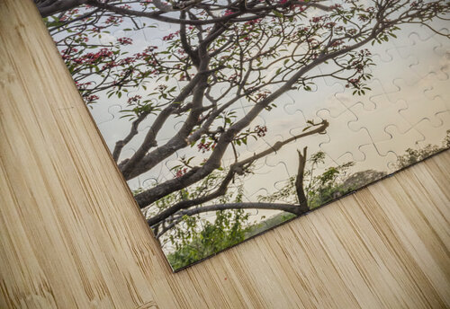 Sunset  Aniket Wasnik puzzle