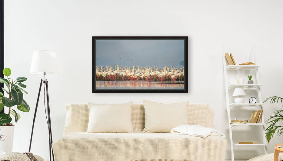 Flamingos At Lake  by Aniket Wasnik