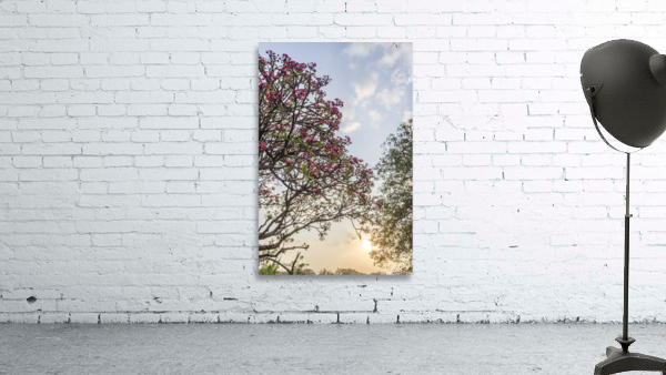 Sunset  Wall Preview