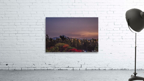 Evening  light  Wall Preview