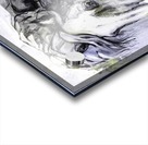24x40 site Acrylic print