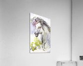 24x40 site Acrylic Print