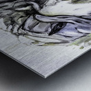 24x40 site Metal print