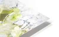lea image site 2 HD Metal print