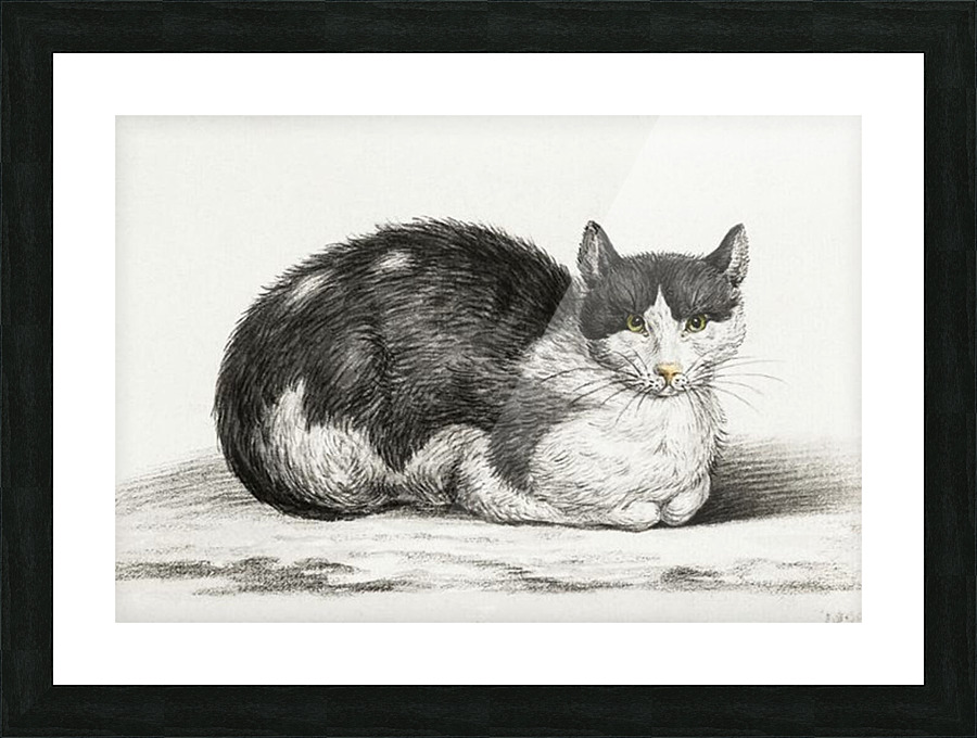 Lying cat Picture Frame print
