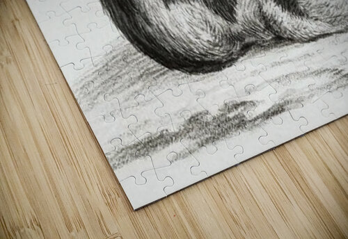 Lying cat Lettykaweesa puzzle