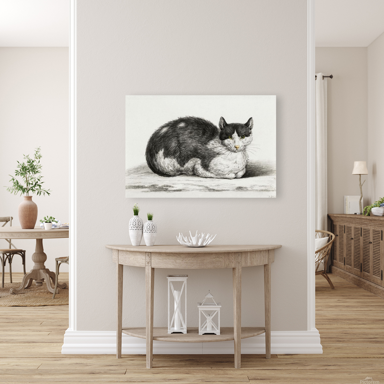 Lying cat Reproduction