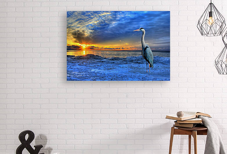 Heron bird sea sunset  by Lettykaweesa