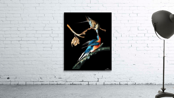 Passenger pigeons Wall Preview