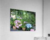 Stuffed in a Pot Acrylic Print
