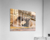 How About a Smooch Acrylic Print