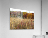 Whispering Wind Acrylic Print