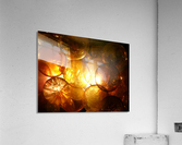 Transparency1 Acrylic Print