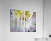 Pastels Acrylic Print