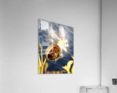 Wild Thing Acrylic Print