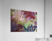 Natures Collage Acrylic Print