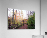 The Path to Peace Acrylic Print