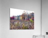 Prairie Acrylic Print