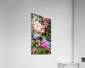 Whimsy Acrylic Print