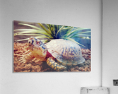 Smile Acrylic Print