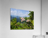 Mountain Paradise Acrylic Print