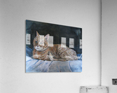 catportrait Acrylic Print