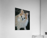 chloewithoutframe Acrylic Print