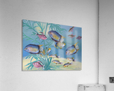 Underwater Acrylic Print