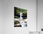 The Pool Acrylic Print