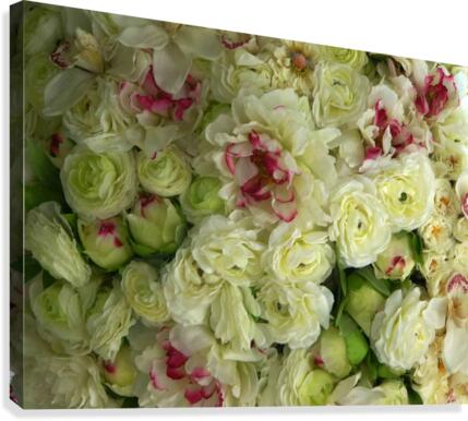 Better than Bouquets Canvas Print