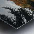 Autumn Glow Metal print