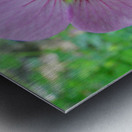 Transparency Metal print